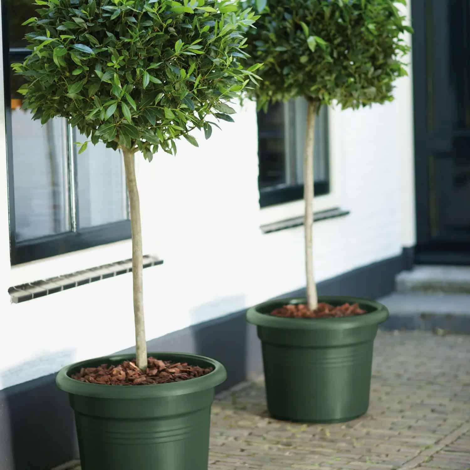 Elho Green Basics Cilinder 55cm Leaf Green - Imagen 2